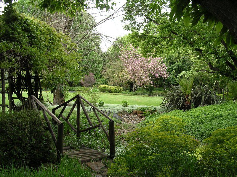 Cedar Garden Underberg Kwazulu Natal South Africa Plant, Nature, Garden