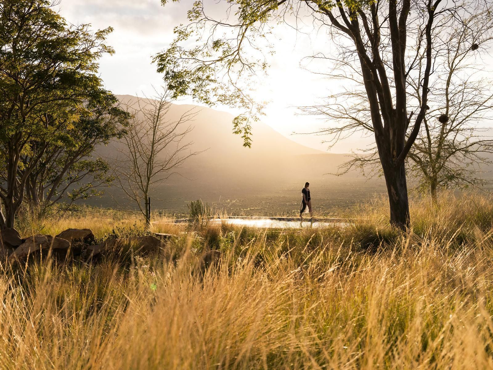 Cederberg Ridge Wilderness Lodge Clanwilliam Western Cape South Africa Sepia Tones