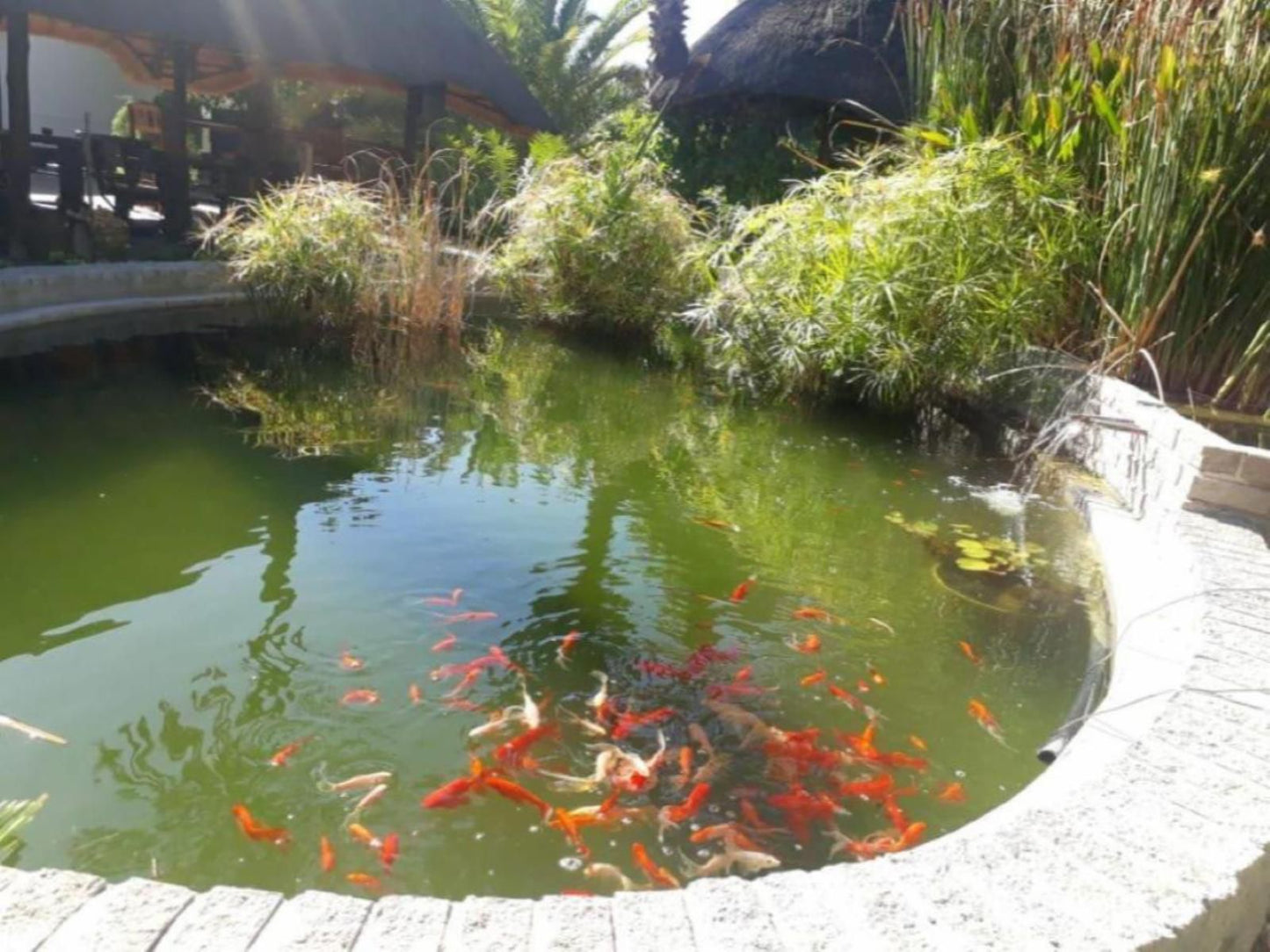 Central Hotel Omaruru, Lake, Nature, Waters