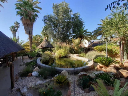 Central Hotel Omaruru, Palm Tree, Plant, Nature, Wood, Garden, Swimming Pool