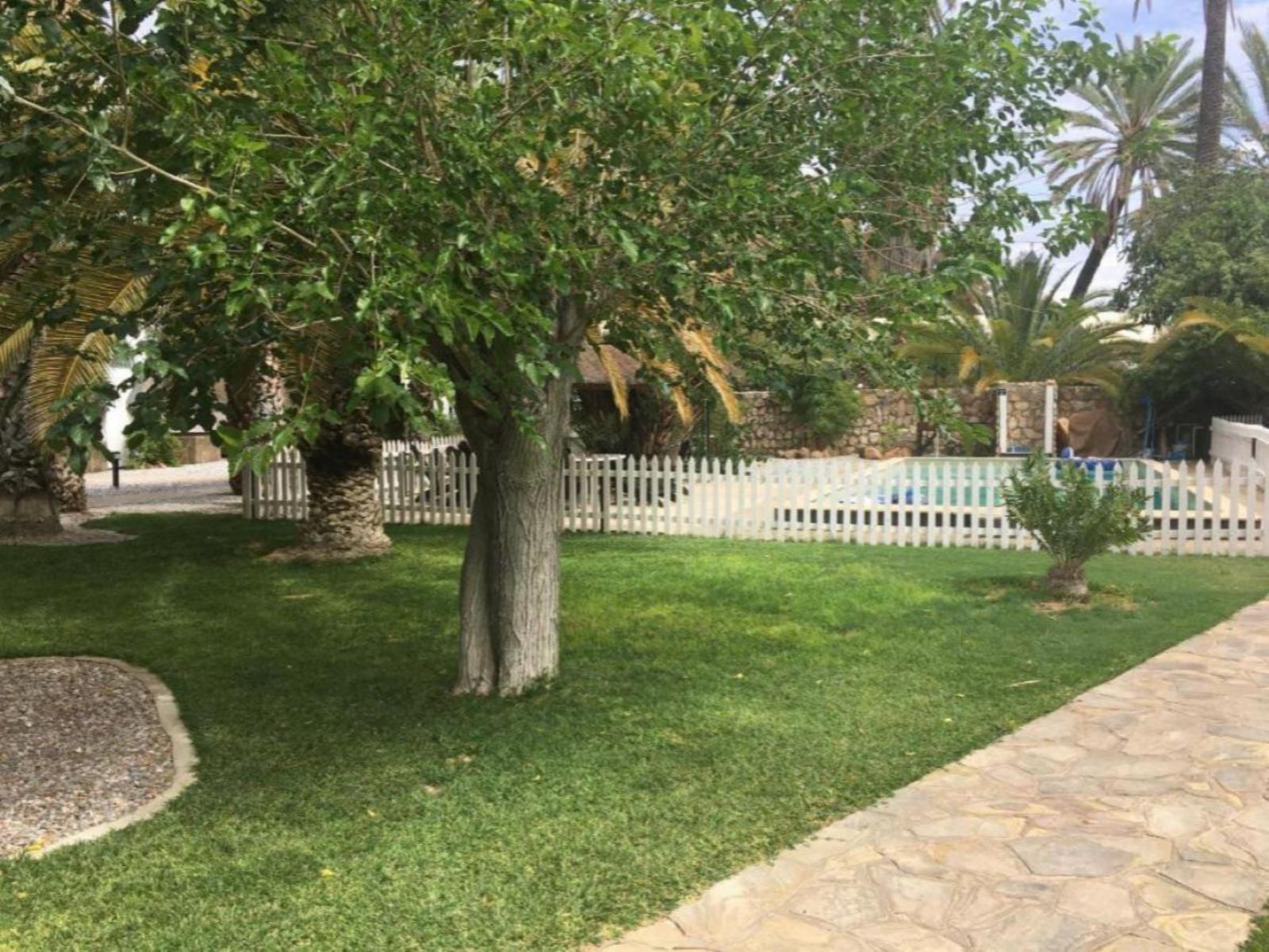 Central Hotel Omaruru, Palm Tree, Plant, Nature, Wood, Garden