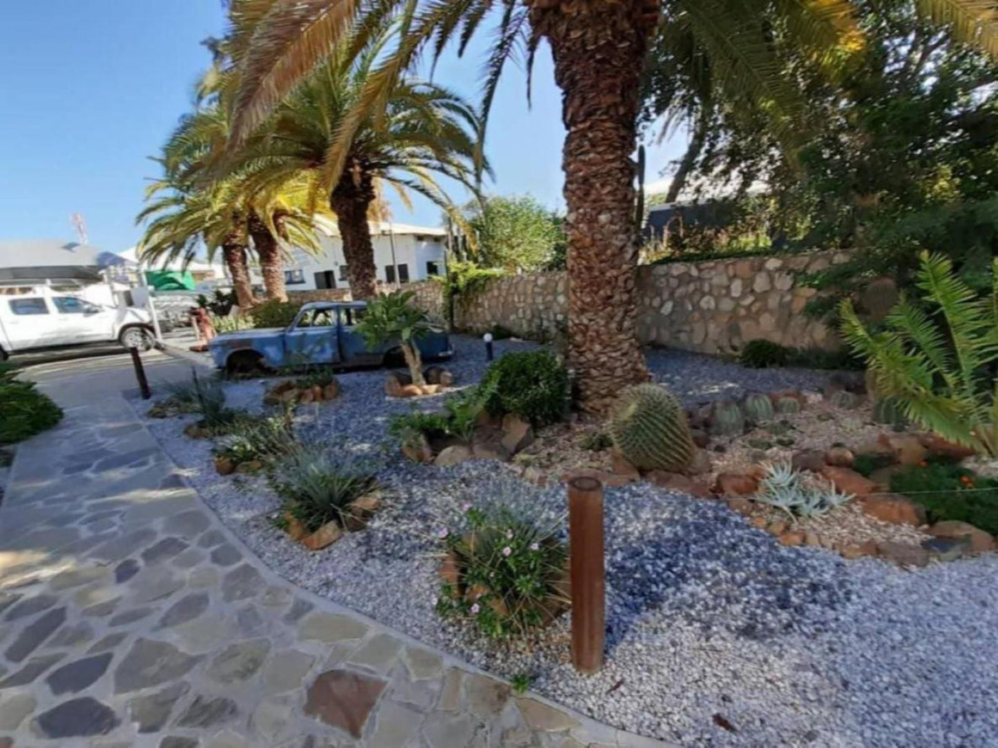 Central Hotel Omaruru, Palm Tree, Plant, Nature, Wood, Garden