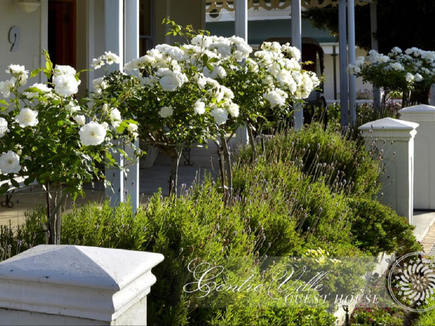 Centre Ville Franschhoek Western Cape South Africa Blossom, Plant, Nature, House, Building, Architecture, Garden