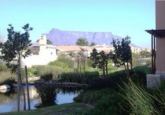 Century Stay Century City Cape Town Western Cape South Africa Palm Tree, Plant, Nature, Wood