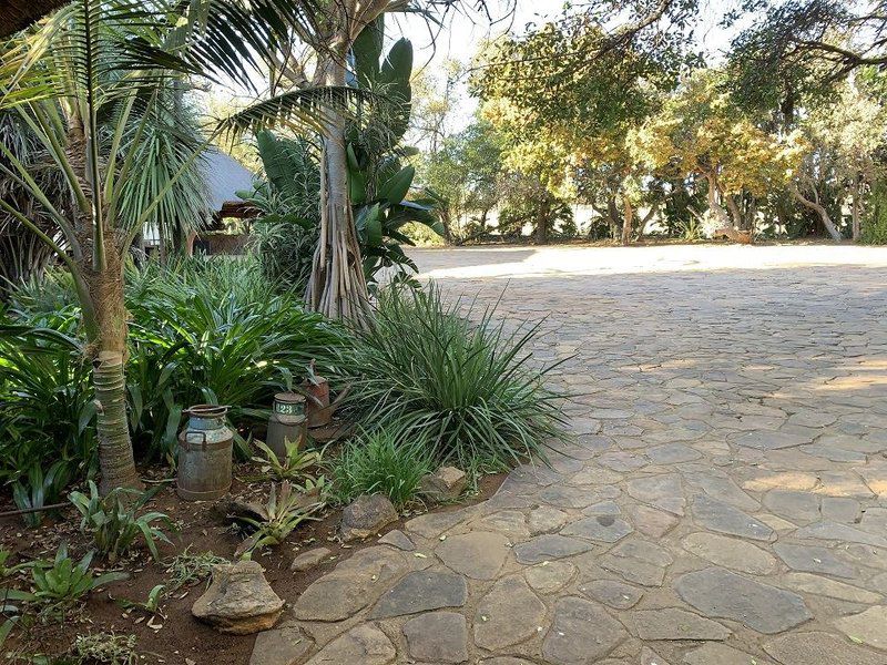 Chacma Safari Lodge Vaalwater Limpopo Province South Africa Palm Tree, Plant, Nature, Wood, Garden