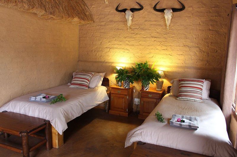 Chacma Safari Lodge Vaalwater Limpopo Province South Africa Bedroom