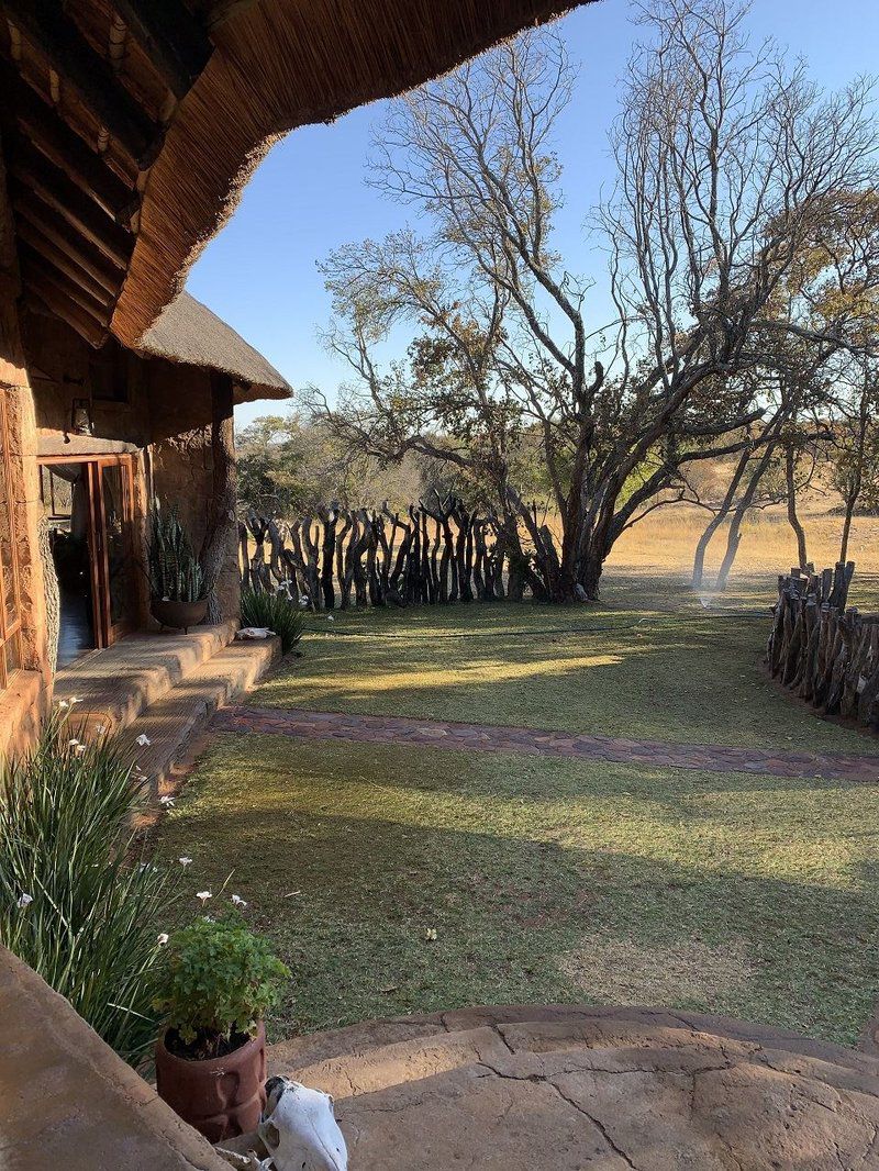 Chacma Safari Lodge Vaalwater Limpopo Province South Africa Plant, Nature