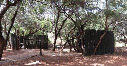 Chalet Pumba Elephant Camp Mabalingwe Mabalingwe Nature Reserve Bela Bela Warmbaths Limpopo Province South Africa Forest, Nature, Plant, Tree, Wood