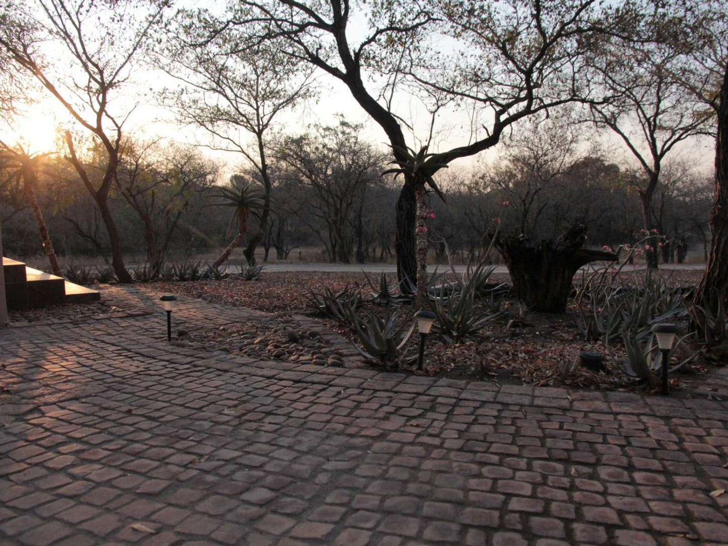 Chama Game Lodge Malelane Mpumalanga South Africa Unsaturated