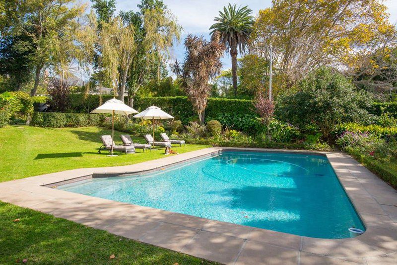 Chambery Kenilworth Cape Town Western Cape South Africa Palm Tree, Plant, Nature, Wood, Garden, Swimming Pool