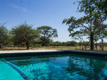 Chameleon Bush Lodge Dinokeng Game Reserve Gauteng South Africa Swimming Pool