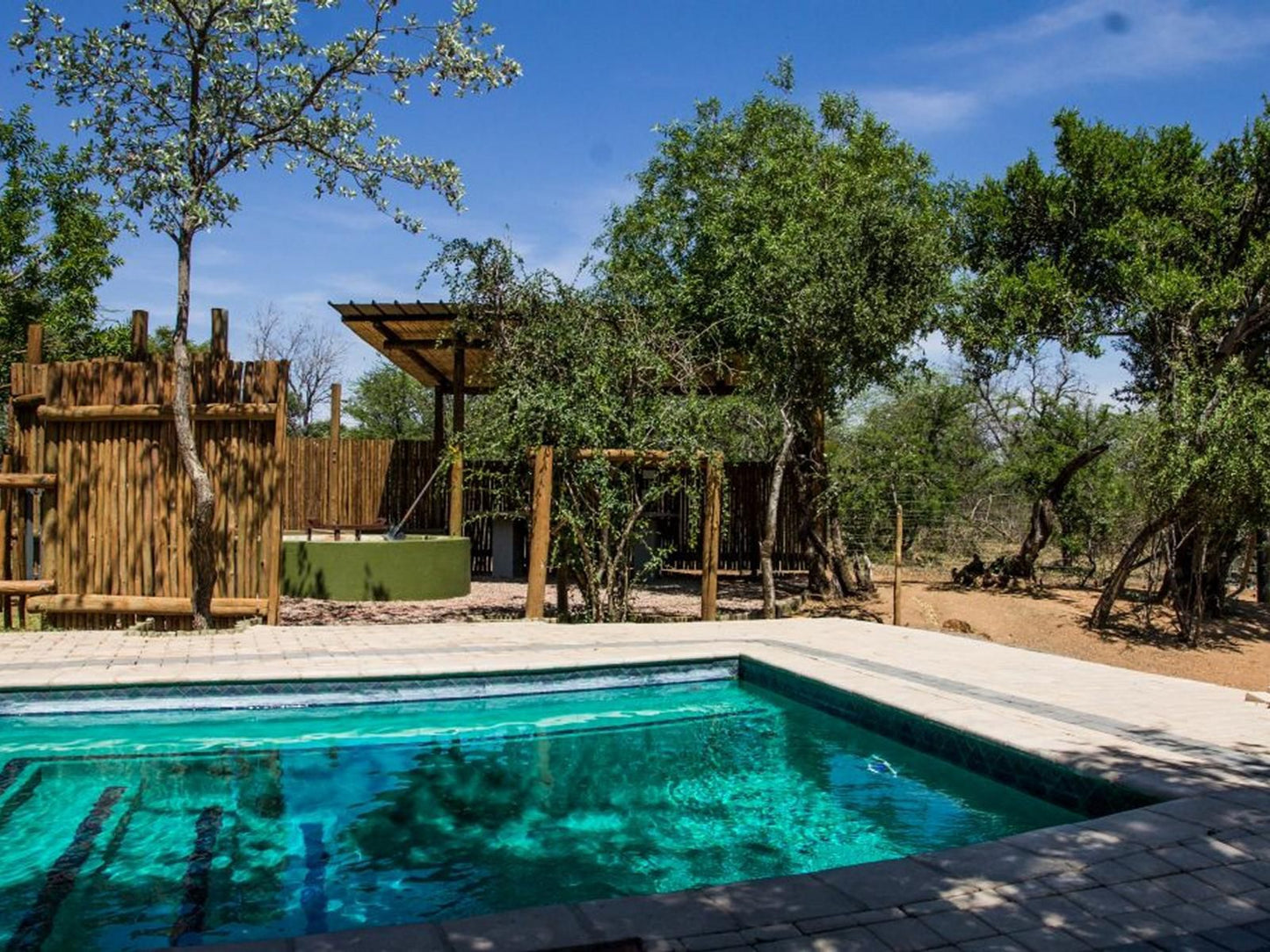 Chameleon Bush Lodge Dinokeng Game Reserve Gauteng South Africa Complementary Colors, Garden, Nature, Plant, Swimming Pool