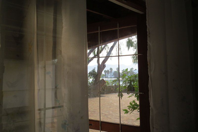 Chamomile Waterside Marina Da Gama Cape Town Western Cape South Africa Palm Tree, Plant, Nature, Wood, Window, Architecture, Framing