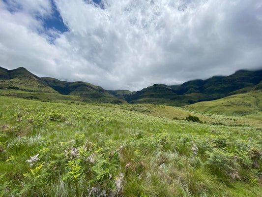 Champagne Lane Resort, Meadow, Nature, Mountain, Highland