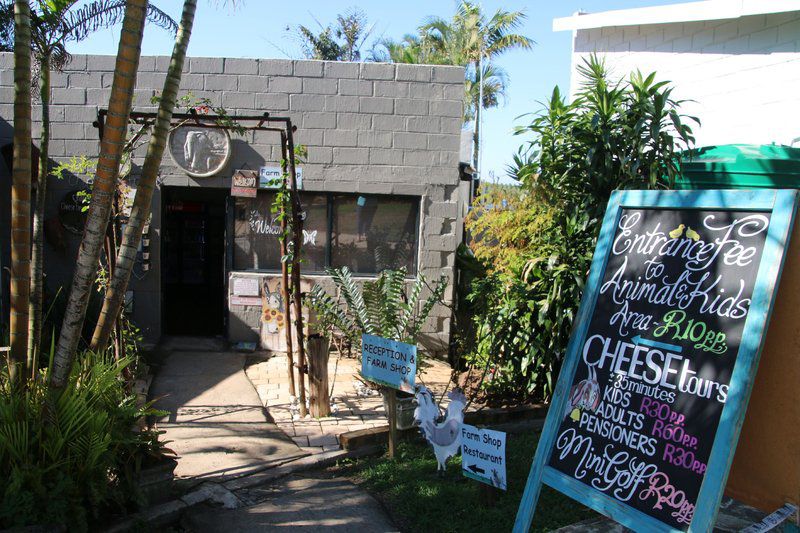 Cheese Farm And Lodge St Lucia Kwazulu Natal South Africa Palm Tree, Plant, Nature, Wood, Sign, Text, Food