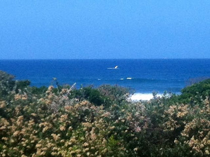 Chanteclear Bed And Breakfast Gonubie East London Eastern Cape South Africa Beach, Nature, Sand, Cliff, Whale, Marine Animal, Animal, Framing, Ocean, Waters