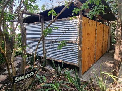 Chantilly Retreat, Shipping Container, Sauna, Wood