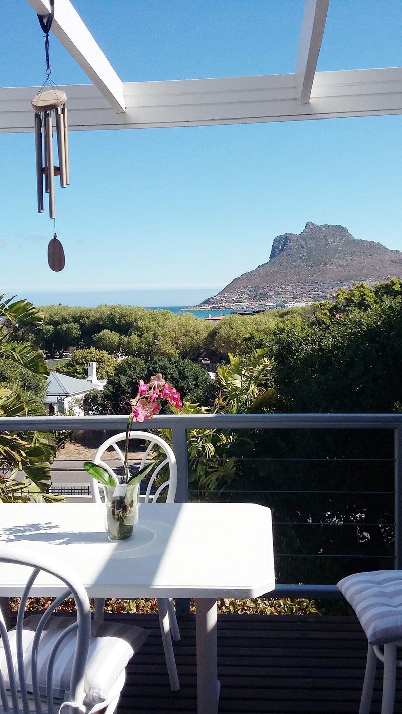 Chapman S Peak Lookout Hout Bay Cape Town Western Cape South Africa Framing