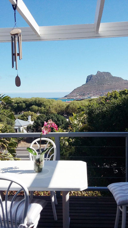 Chapman S Peak Lookout Hout Bay Cape Town Western Cape South Africa Framing