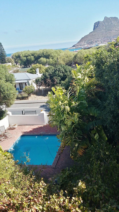 Chapman S Peak Lookout Hout Bay Cape Town Western Cape South Africa Complementary Colors, Palm Tree, Plant, Nature, Wood, Garden, Swimming Pool