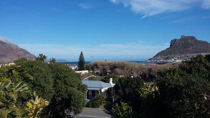 Chapman S Peak Lookout Hout Bay Cape Town Western Cape South Africa Beach, Nature, Sand, Palm Tree, Plant, Wood, Framing