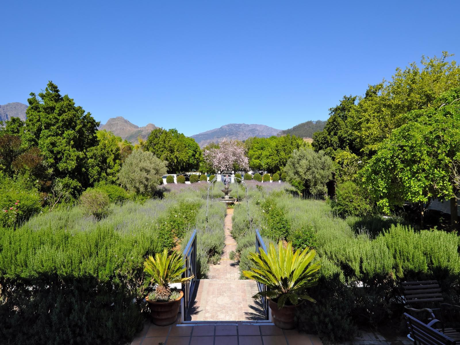 Chapter House Boutique Hotel Franschhoek Western Cape South Africa Complementary Colors, Plant, Nature, Garden