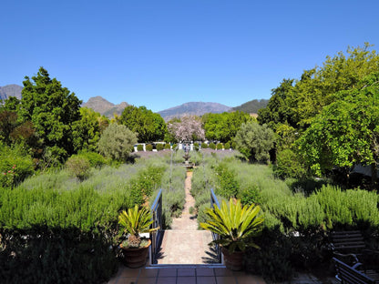 Chapter House Boutique Hotel Franschhoek Western Cape South Africa Complementary Colors, Plant, Nature, Garden