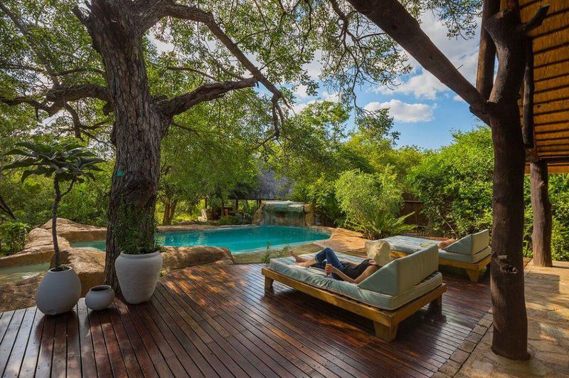 Chapungu Luxury Tented Camp Thornybush Game Reserve Mpumalanga South Africa Swimming Pool