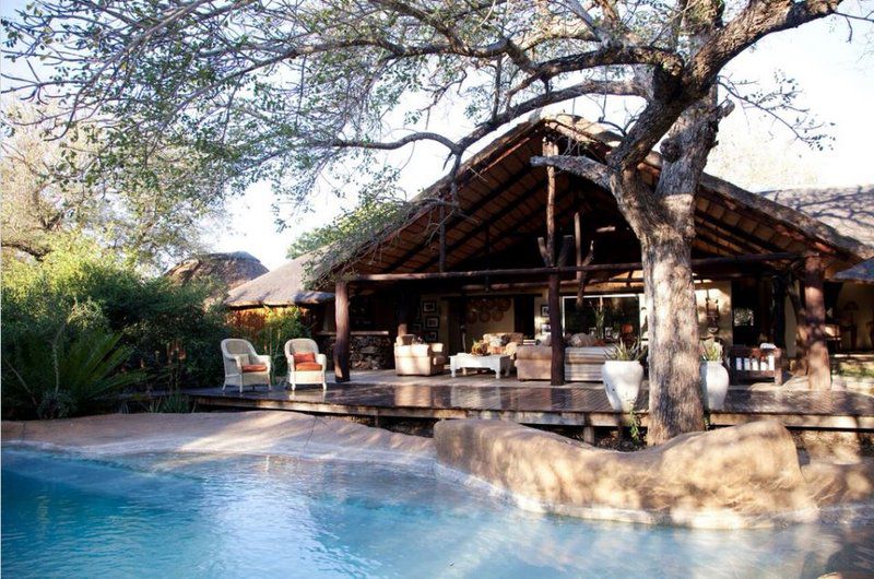 Chapungu Luxury Tented Camp Thornybush Game Reserve Mpumalanga South Africa Swimming Pool