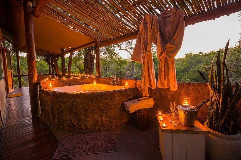 Chapungu Luxury Tented Camp Thornybush Game Reserve Mpumalanga South Africa 