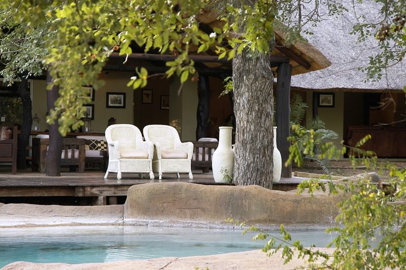 Chapungu Luxury Tented Camp Thornybush Game Reserve Mpumalanga South Africa Swimming Pool