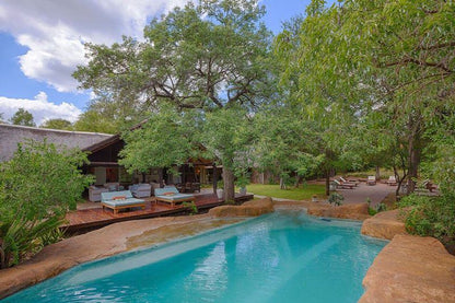 Chapungu Luxury Tented Camp Thornybush Game Reserve Mpumalanga South Africa Complementary Colors, Swimming Pool