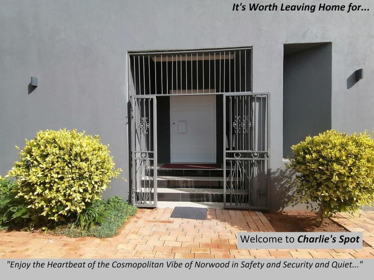 Charlie S Spot Norwood Johannesburg Gauteng South Africa Door, Architecture, Gate, House, Building, Rose, Flower, Plant, Nature, Framing
