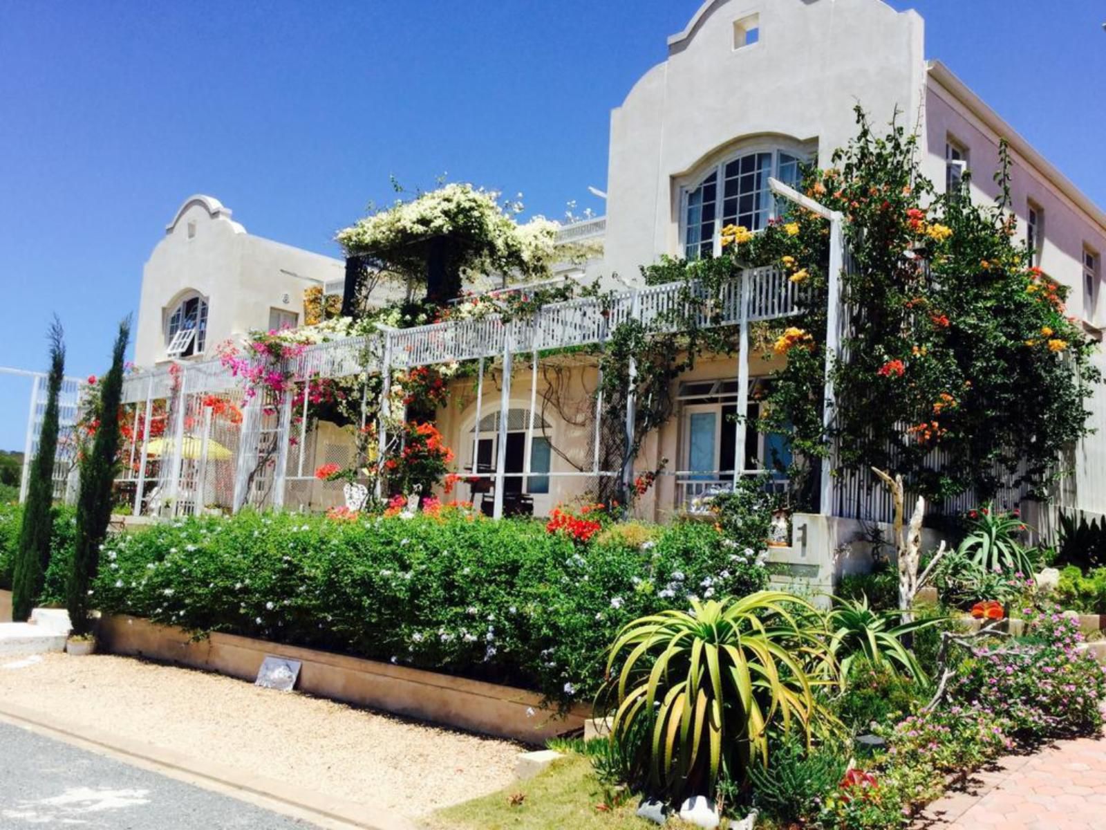 Mama Mia At Charlotte House Stilbaai Western Cape South Africa Complementary Colors, House, Building, Architecture, Palm Tree, Plant, Nature, Wood, Garden