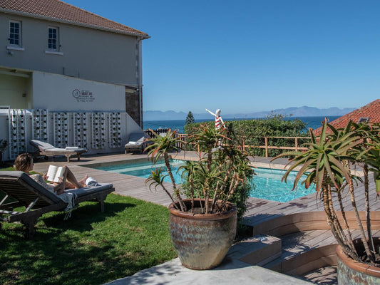 Chartfield Guest House Kalk Bay Cape Town Western Cape South Africa House, Building, Architecture, Palm Tree, Plant, Nature, Wood, Swimming Pool