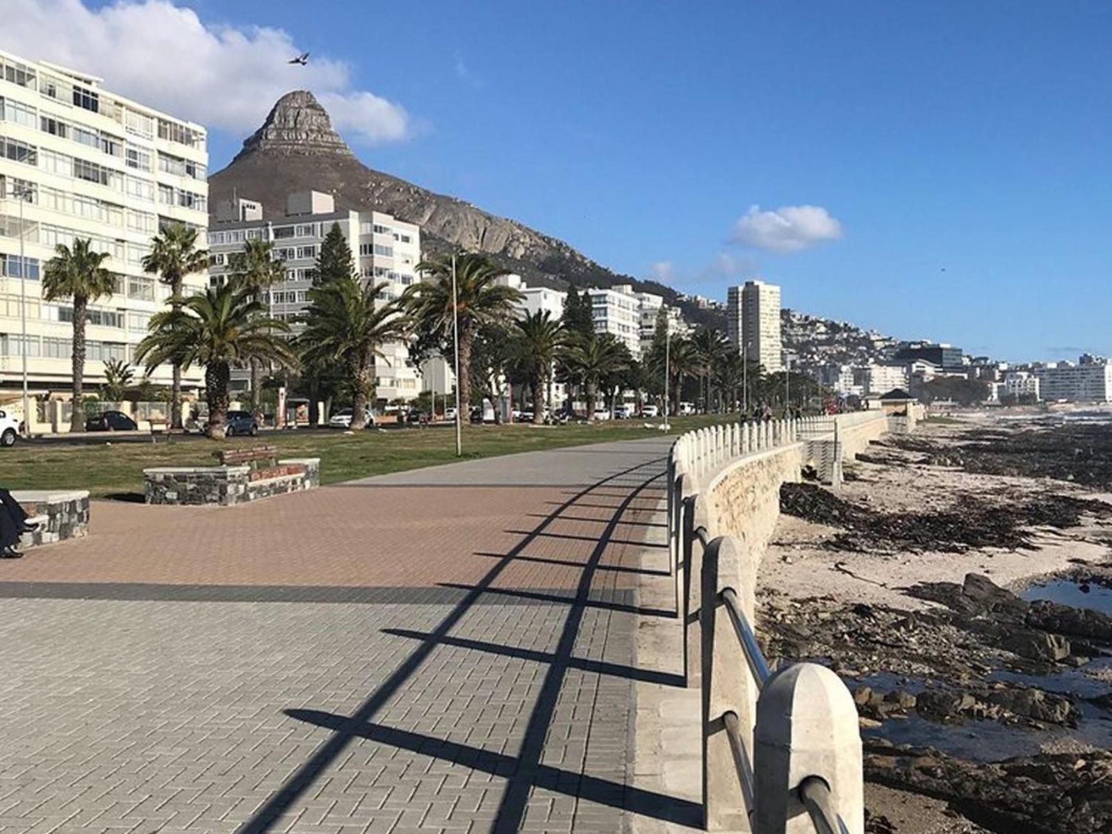 Check Inn Hotel Green Point Cape Town Western Cape South Africa Beach, Nature, Sand, Palm Tree, Plant, Wood, Skyscraper, Building, Architecture, City, Tower, Street