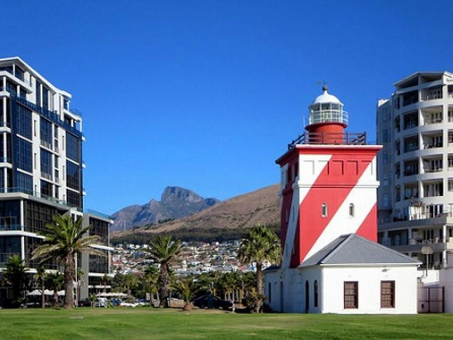 Check Inn Hotel Green Point Cape Town Western Cape South Africa Palm Tree, Plant, Nature, Wood, Tower, Building, Architecture