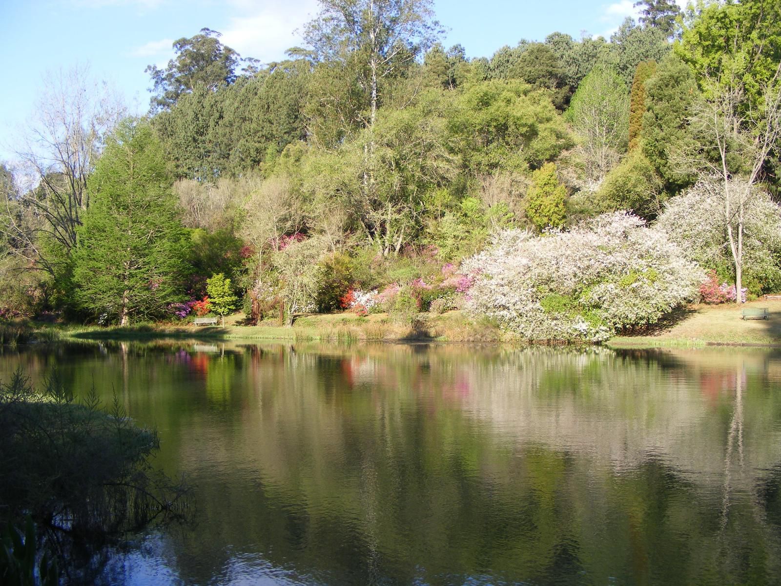 Cheerio Trout Fishing And Holiday Resort Haenertsburg Limpopo Province South Africa Blossom, Plant, Nature, River, Waters, Garden