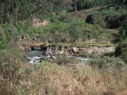 Cheerio Trout Fishing And Holiday Resort Haenertsburg Limpopo Province South Africa River, Nature, Waters, Cycling, Sport, Bicycle, Vehicle