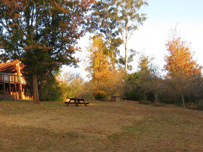 Forest Cottage @ Cheerio Trout Fishing And Holiday Resort