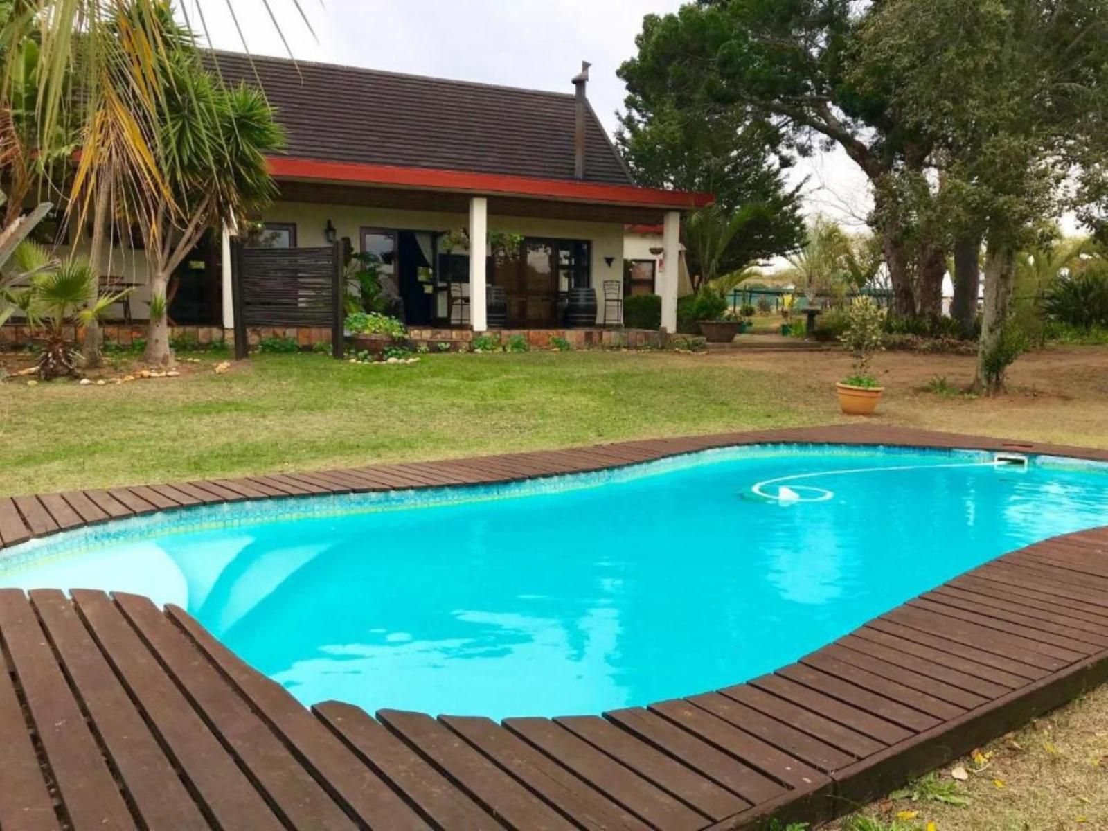 Cheetah Lodge Brandwacht Western Cape South Africa Complementary Colors, Swimming Pool