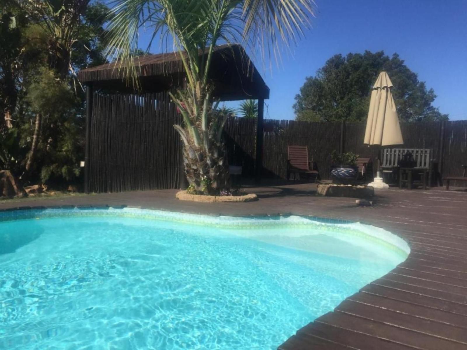 Cheetah Lodge Brandwacht Western Cape South Africa Palm Tree, Plant, Nature, Wood, Swimming Pool