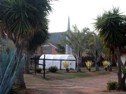 Cheetah Lodge Brandwacht Western Cape South Africa Palm Tree, Plant, Nature, Wood, Tent, Architecture