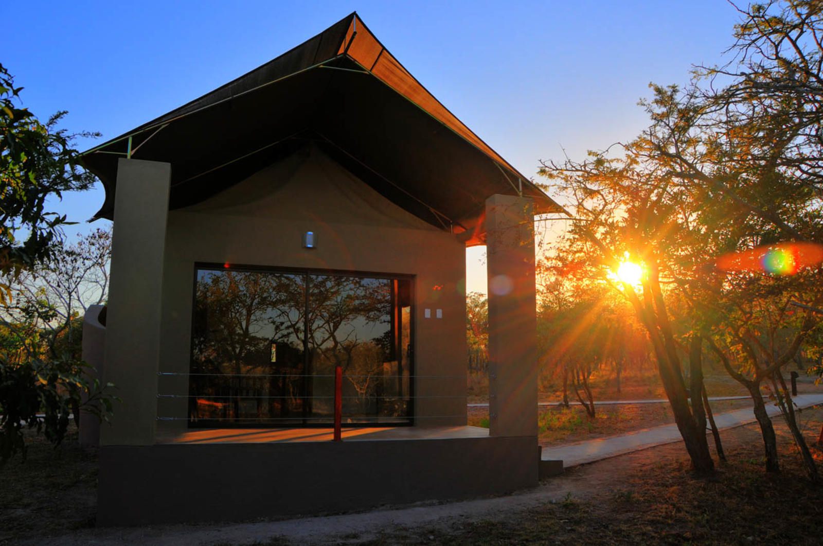 Cheetah Paw Eco Lodge Thornybush Game Reserve Mpumalanga South Africa Complementary Colors