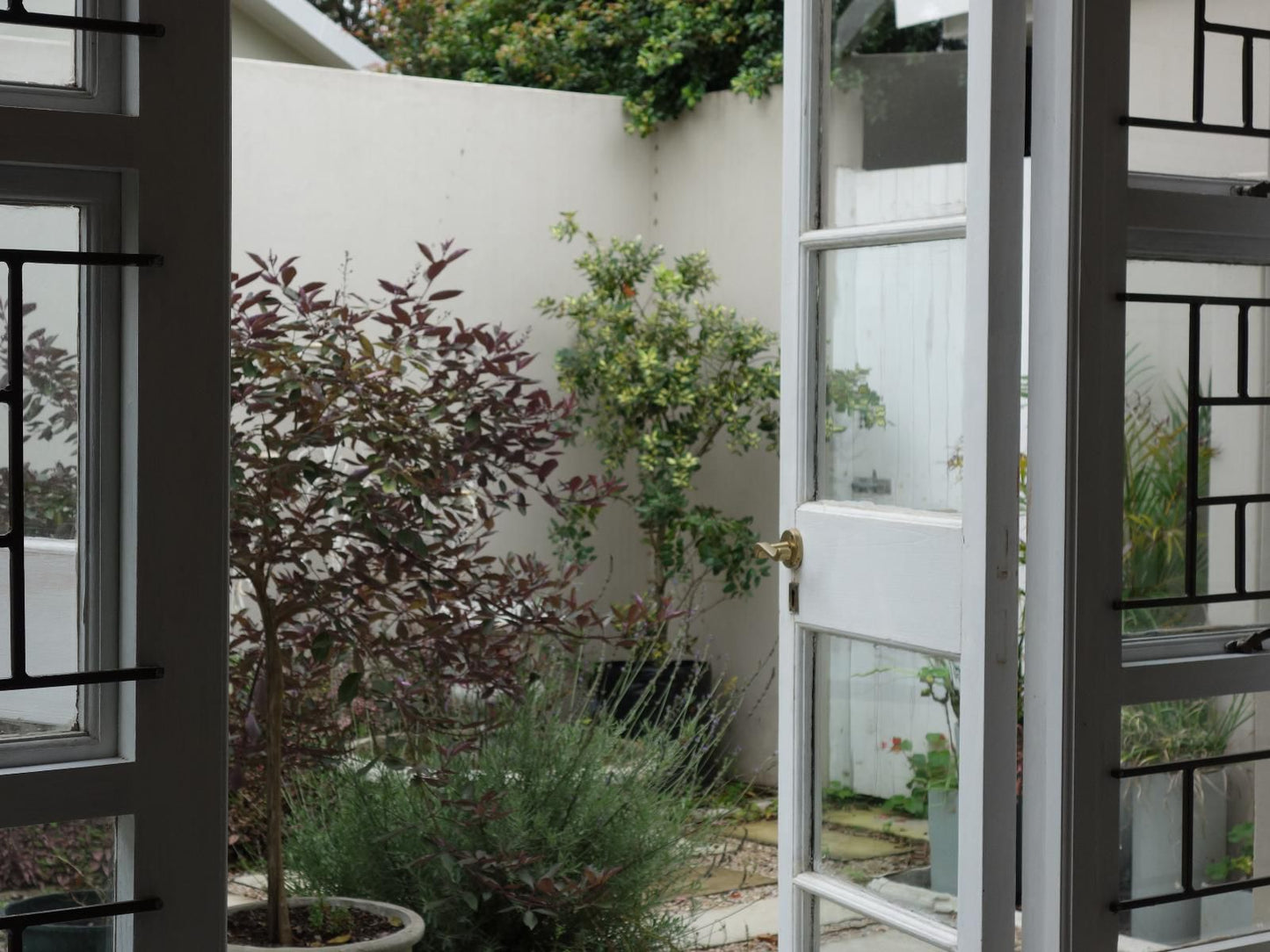 Cherry Berry Guest House Heatherlands George Western Cape South Africa Unsaturated, Door, Architecture, Garden, Nature, Plant