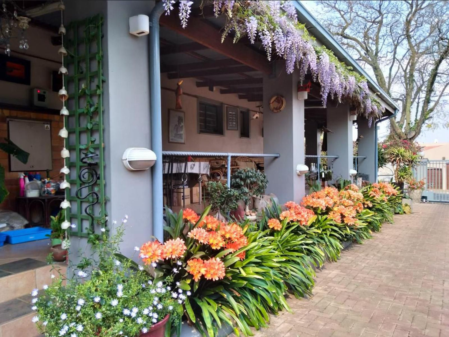 Cherry Tree Cottage Linden Johannesburg Gauteng South Africa House, Building, Architecture, Plant, Nature