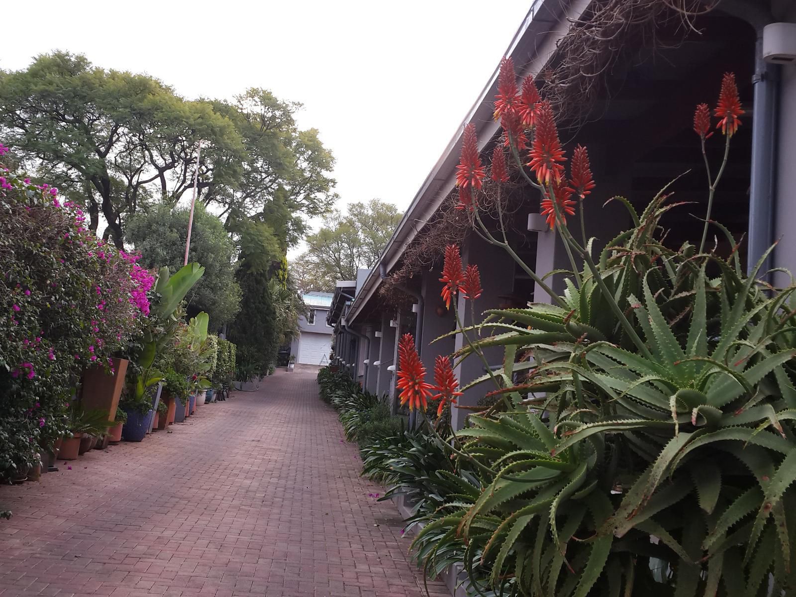 Cherry Tree Cottage Linden Johannesburg Gauteng South Africa House, Building, Architecture, Plant, Nature, Garden