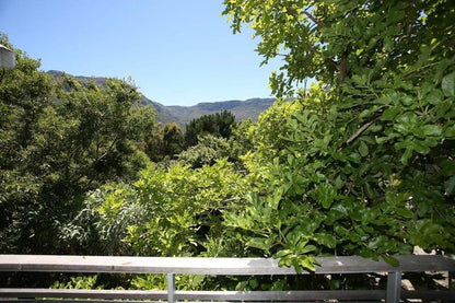 Chestnut I Tierboskloof Cape Town Western Cape South Africa Complementary Colors, Tree, Plant, Nature, Wood