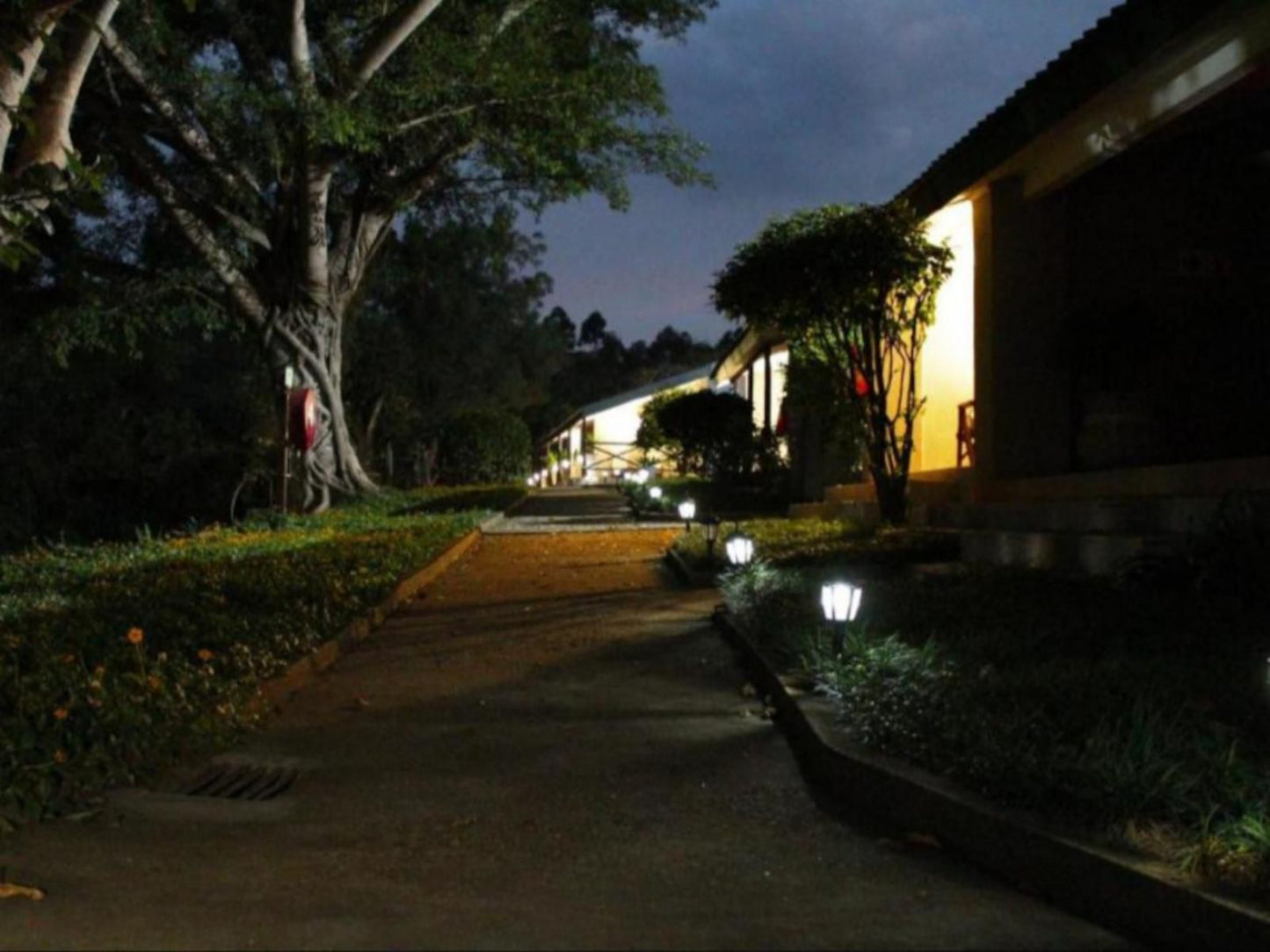 Chestnut Country Lodge Kiepersol Mpumalanga South Africa House, Building, Architecture, Palm Tree, Plant, Nature, Wood