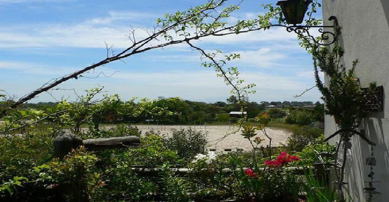 Cheval Vapeur Philippi Cape Town Western Cape South Africa Beach, Nature, Sand, Plant